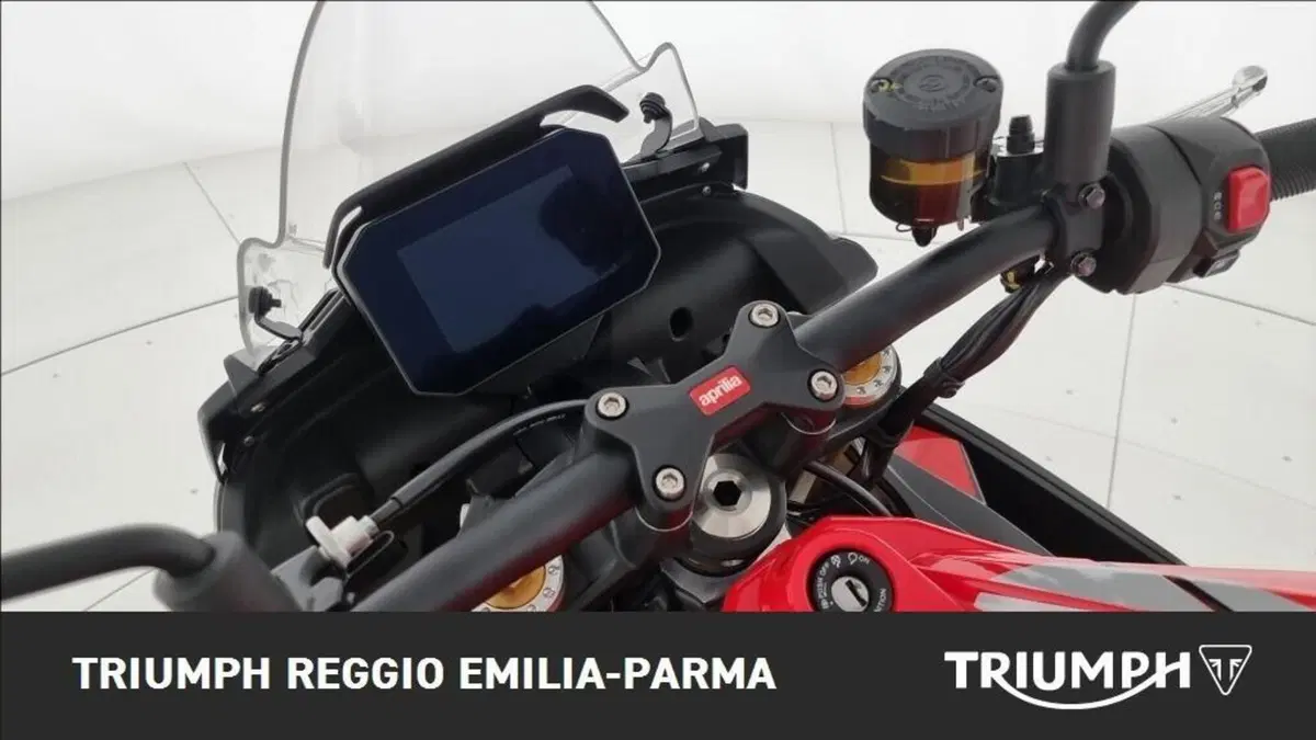 Aprilia Tuono 660 Factory (2022 - 24) (9)