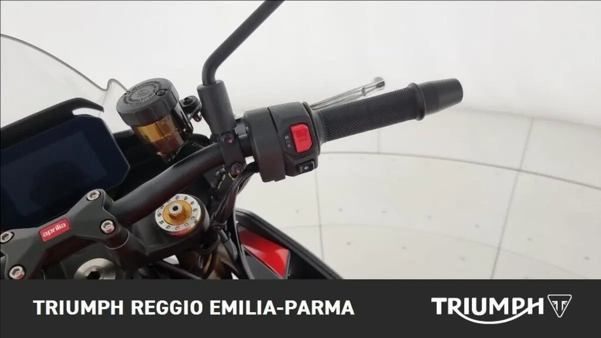 Aprilia Tuono 660 Factory (2022 - 24) (10)
