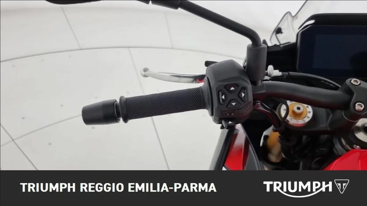 Aprilia Tuono 660 Factory (2022 - 24) (11)