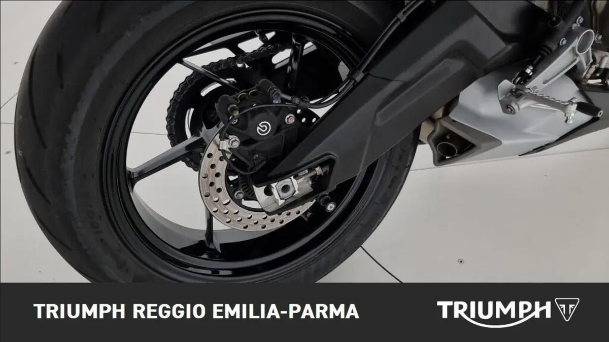 Aprilia Tuono 660 Factory (2022 - 24) (15)
