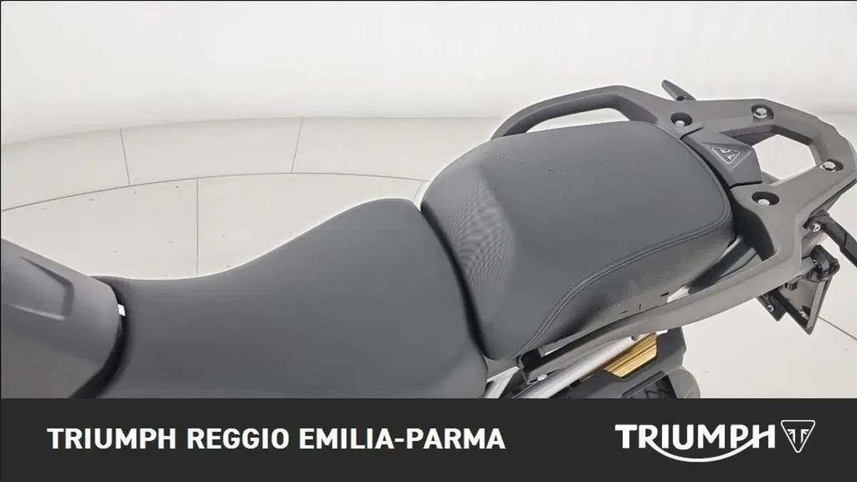 Triumph Tiger 1200 Rally Pro (2024 - 26) (13)