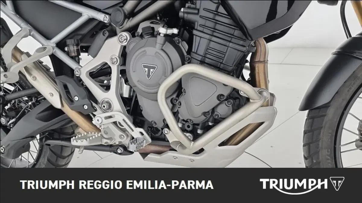 Triumph Tiger 1200 Rally Pro (2024 - 26) (18)