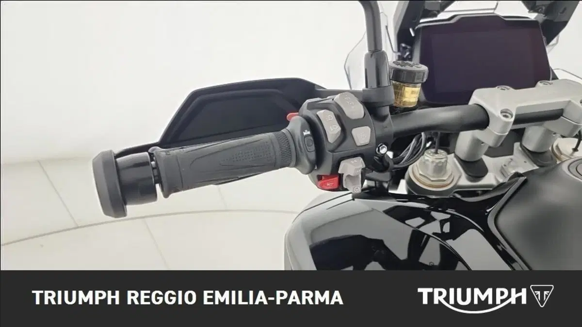 Triumph Tiger 1200 Rally Pro (2024 - 26) (11)