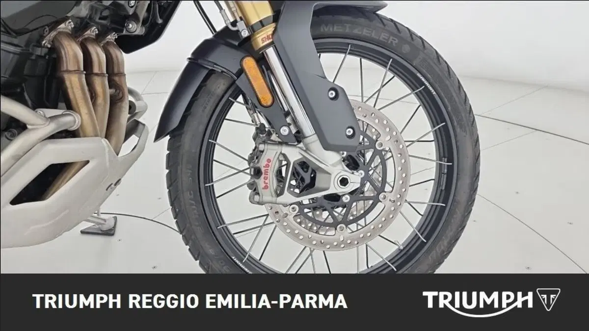 Triumph Tiger 1200 Rally Pro (2024 - 26) (19)