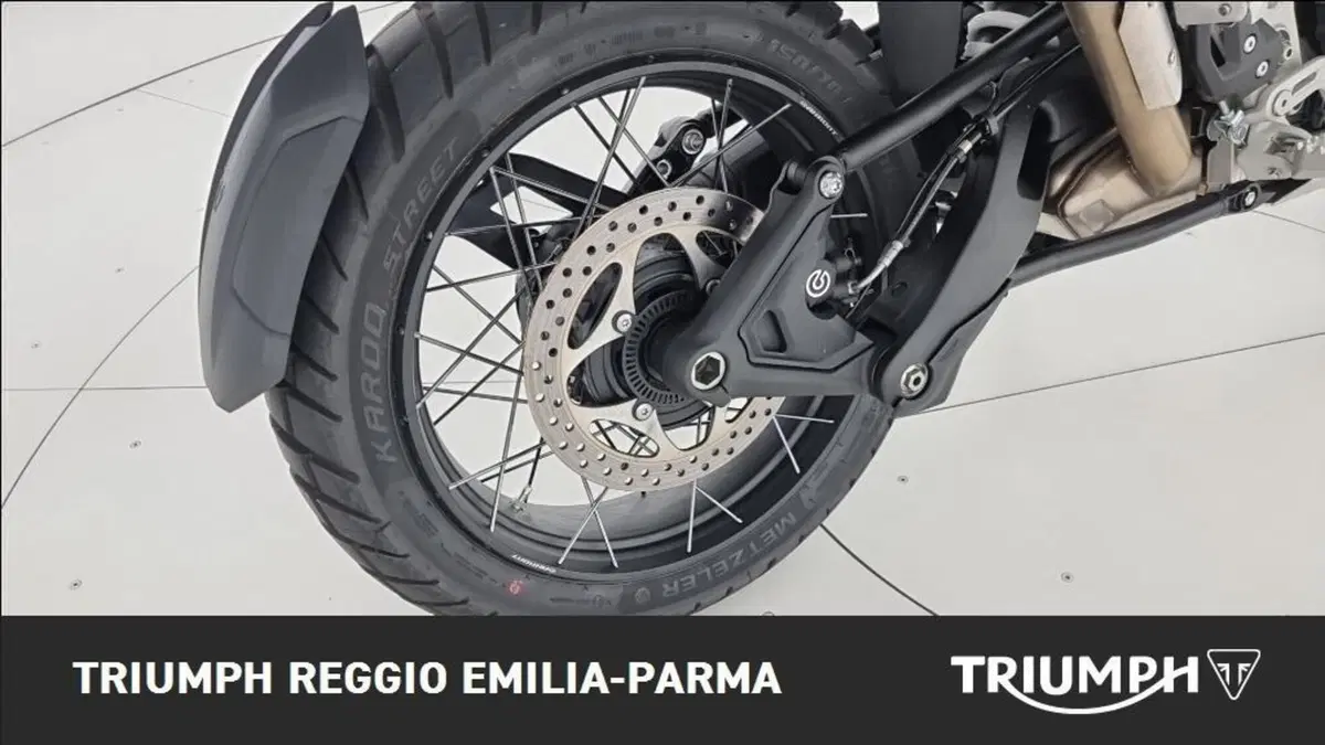 Triumph Tiger 1200 Rally Pro (2024 - 26) (15)