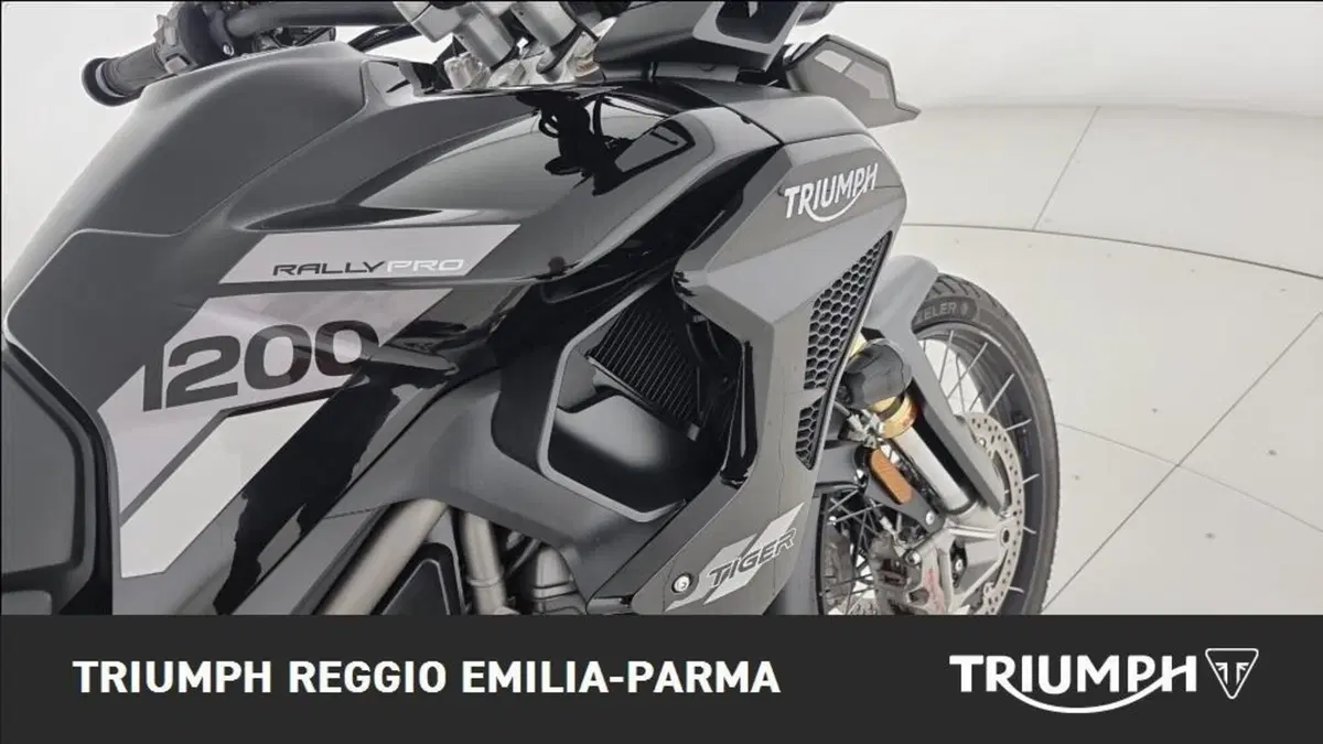 Triumph Tiger 1200 Rally Pro (2024 - 26) (20)