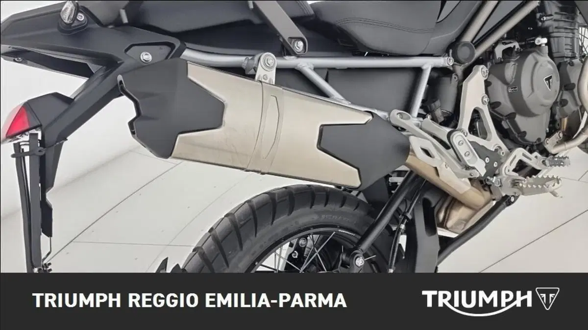 Triumph Tiger 1200 Rally Pro (2024 - 26) (16)