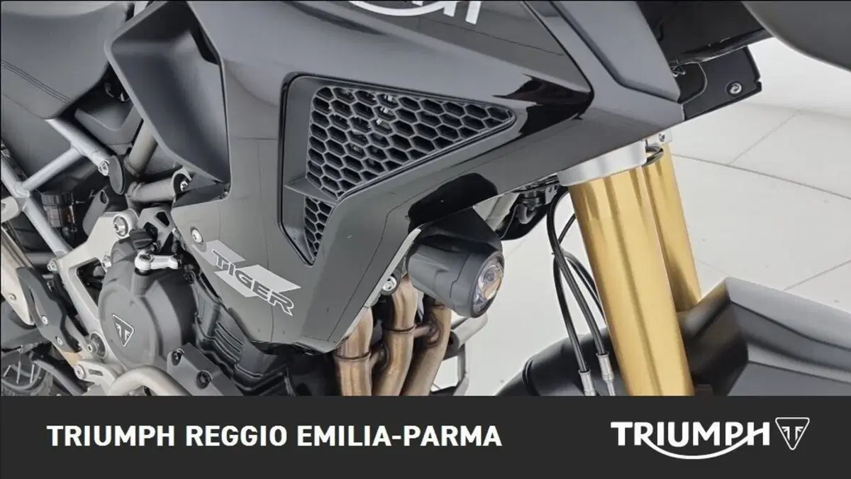 Triumph Tiger 1200 Rally Pro (2024 - 26) (21)