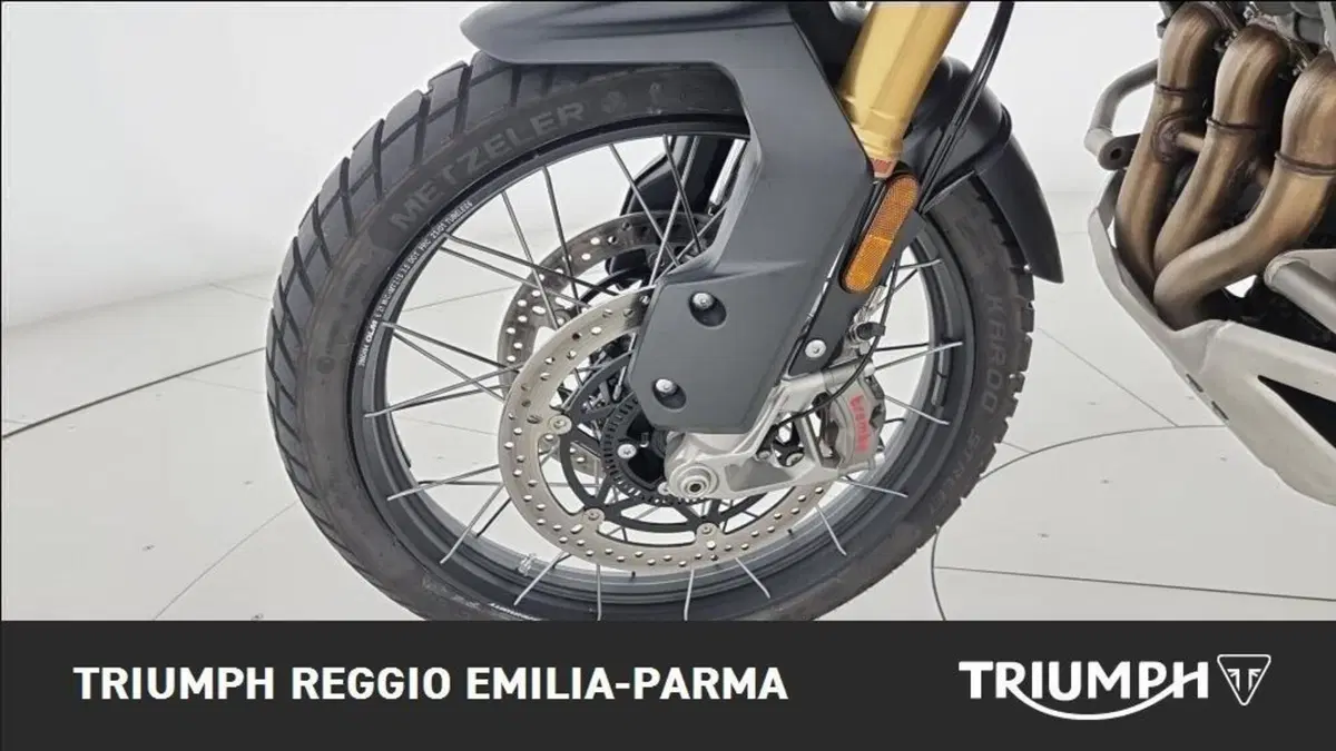 Triumph Tiger 1200 Rally Pro (2024 - 26) (22)