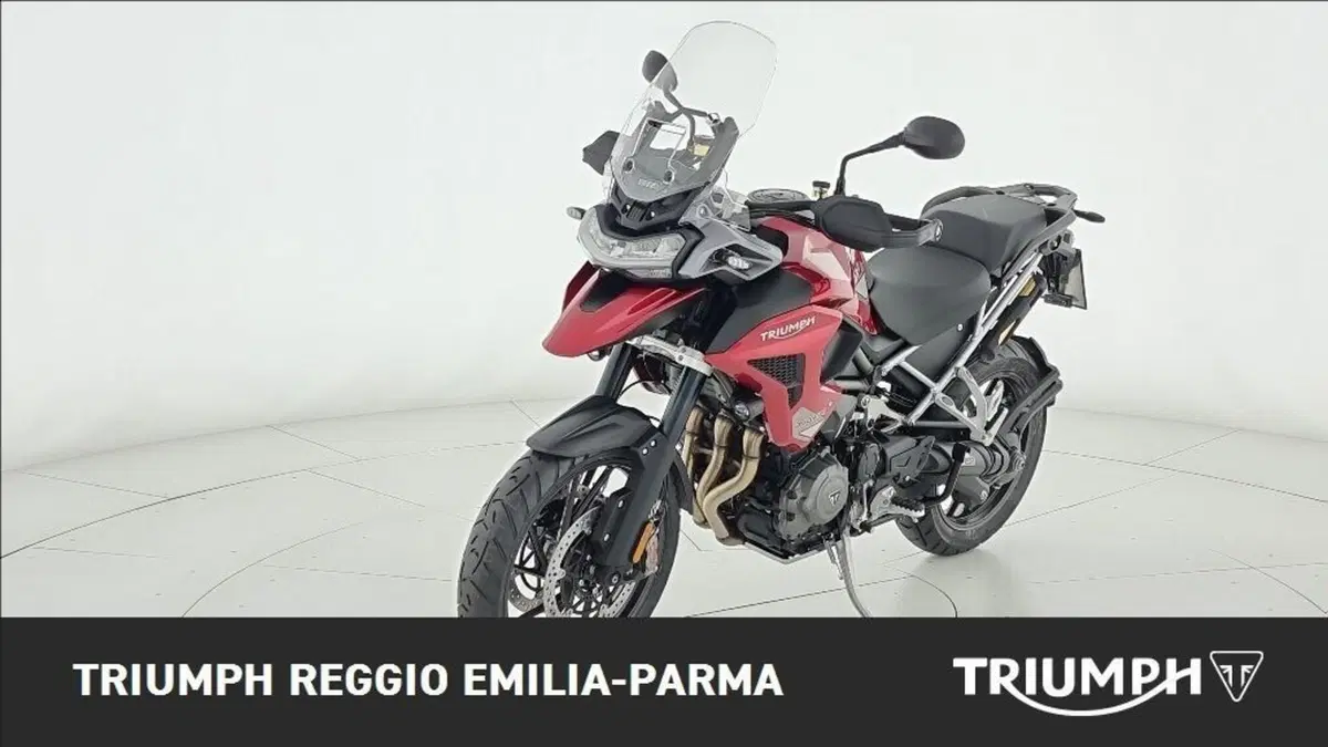 Triumph Tiger 1200 GT Pro (2024 - 26) (6)