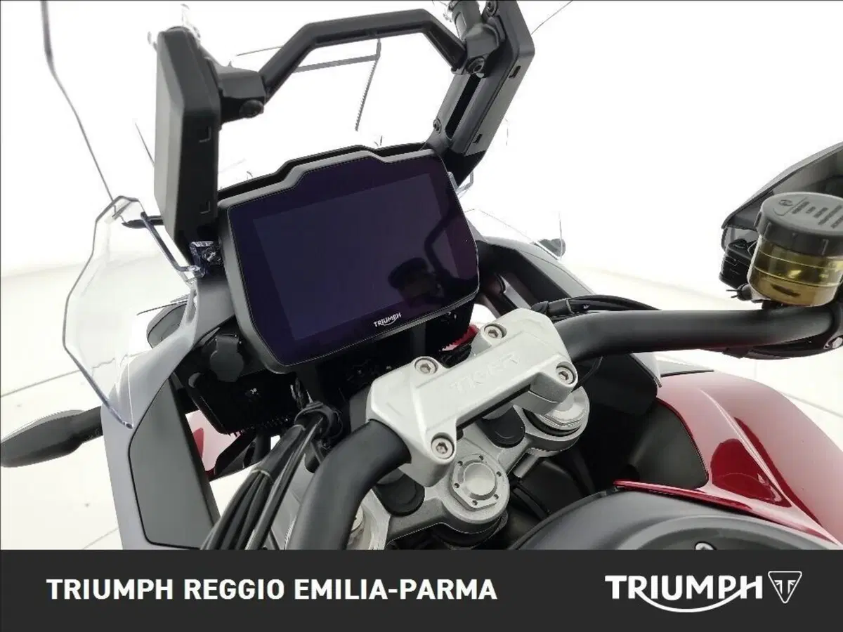Triumph Tiger 1200 GT Pro (2024 - 26) (9)