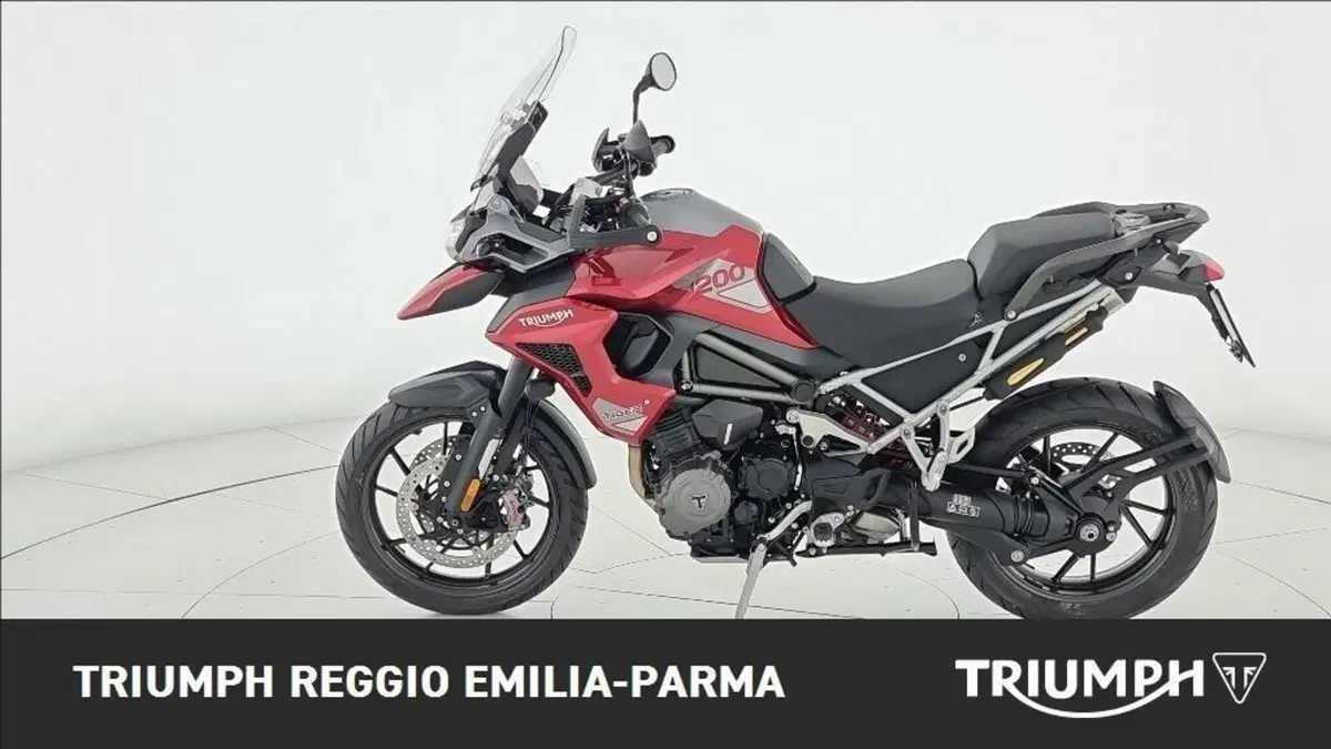 Triumph Tiger 1200 GT Pro (2024 - 26) (7)