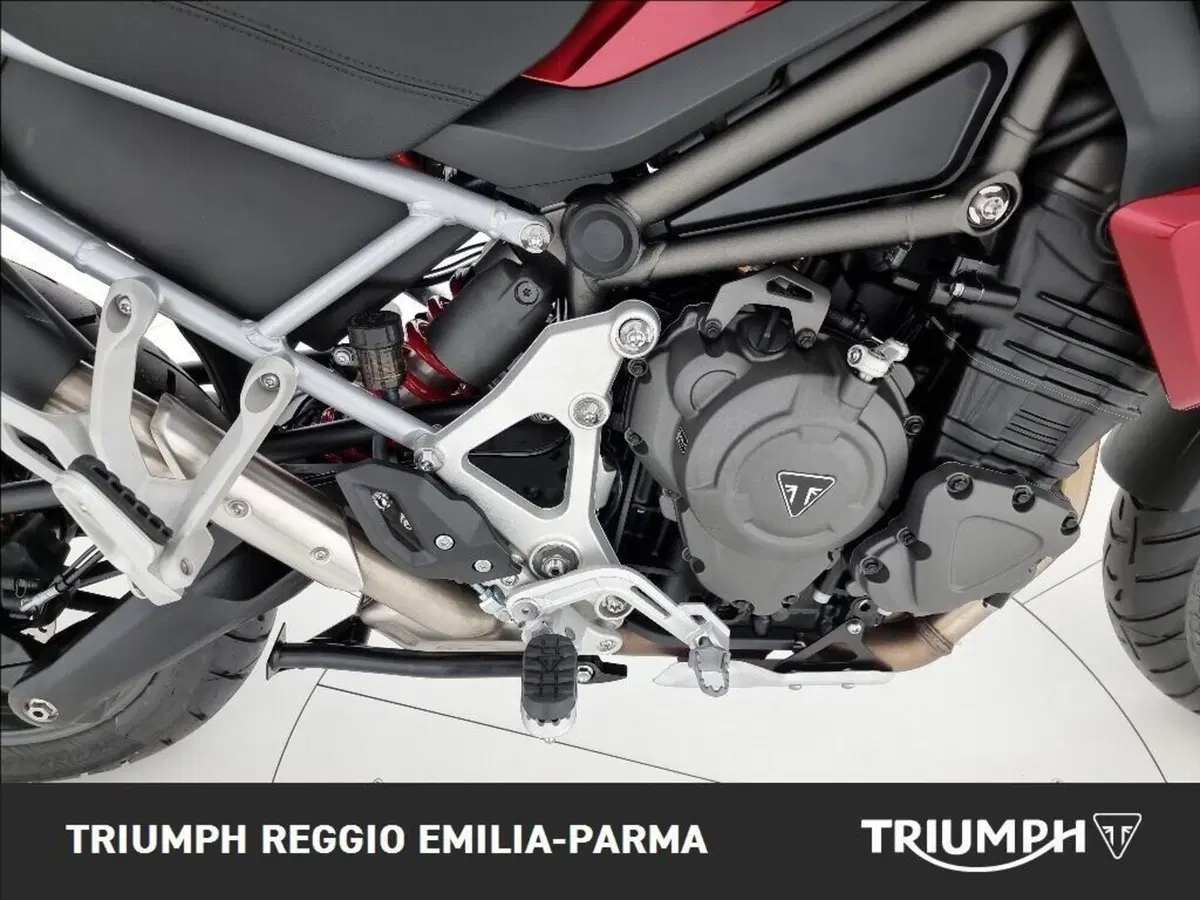 Triumph Tiger 1200 GT Pro (2024 - 26) (19)