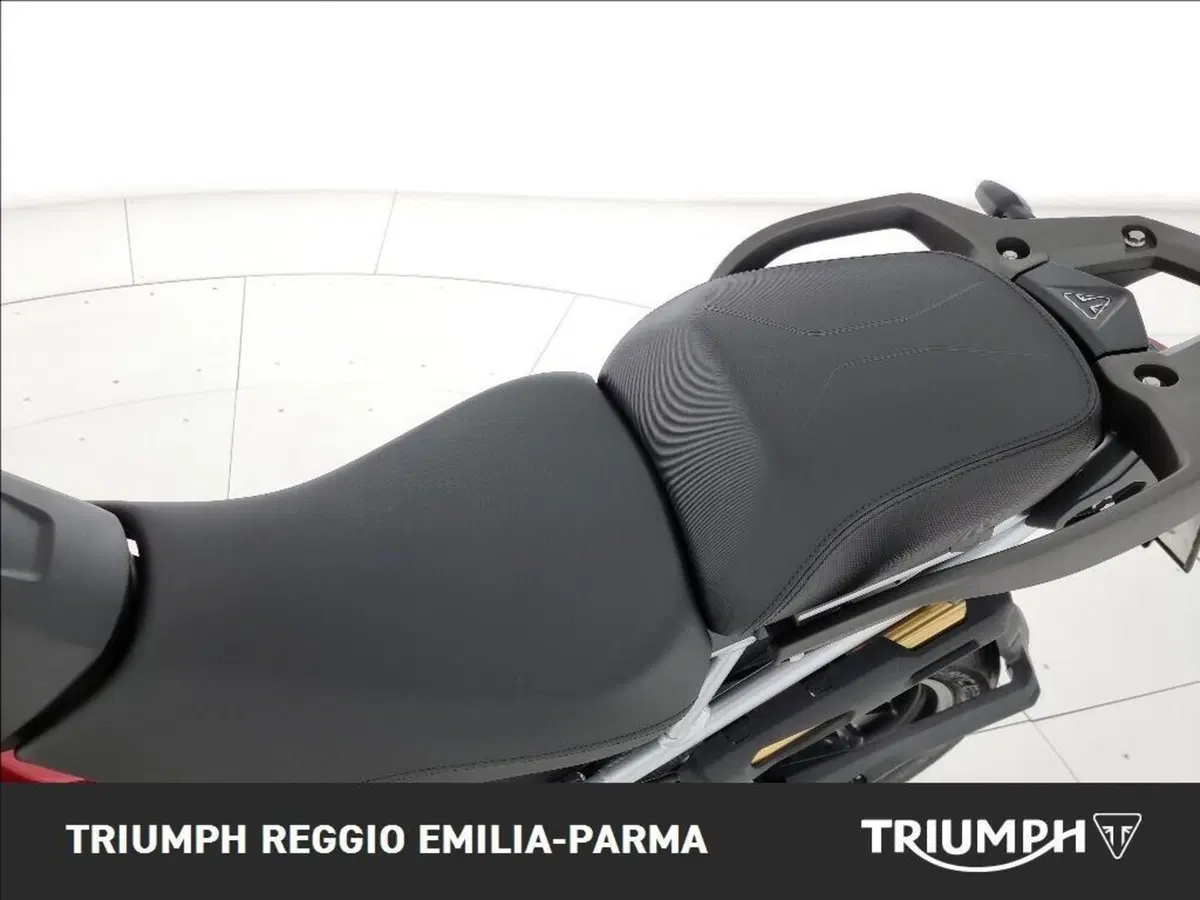 Triumph Tiger 1200 GT Pro (2024 - 26) (14)