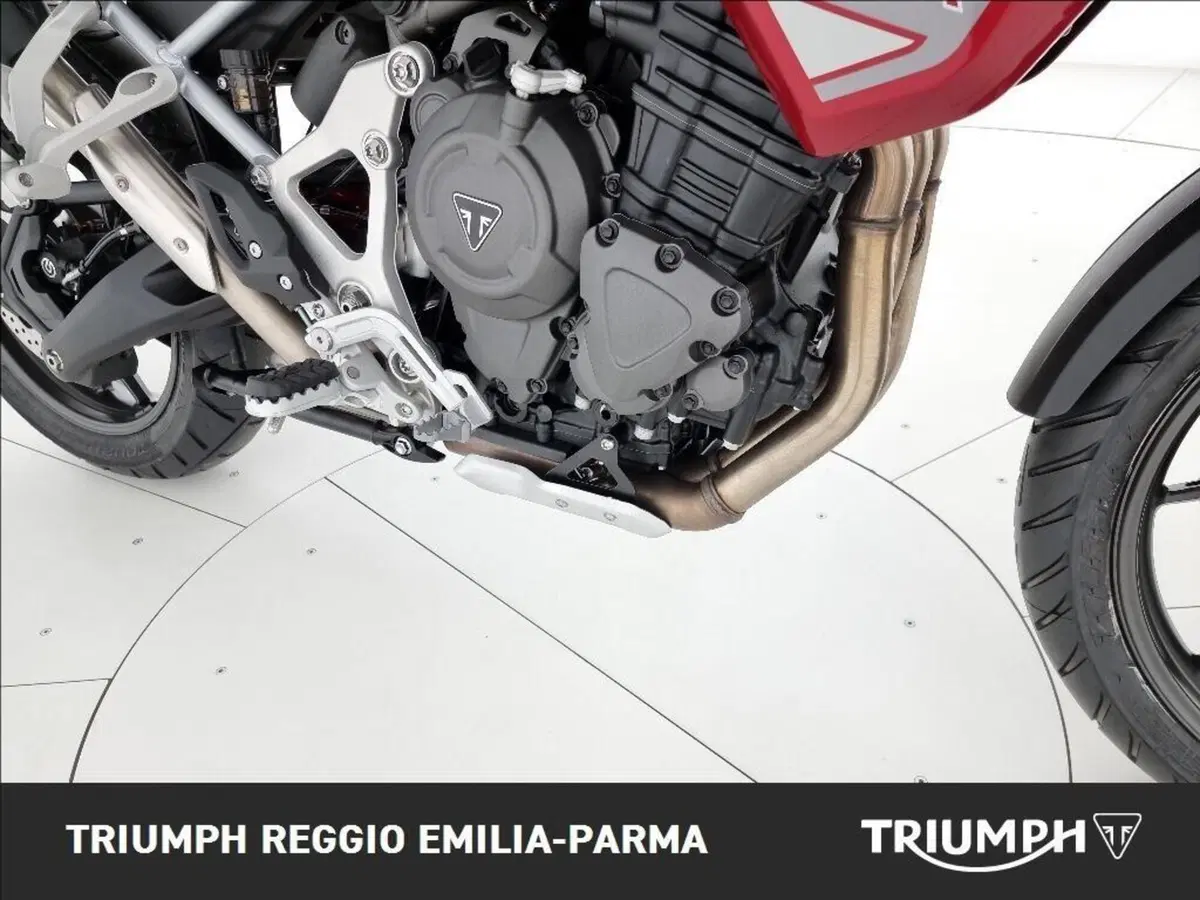 Triumph Tiger 1200 GT Pro (2024 - 26) (20)
