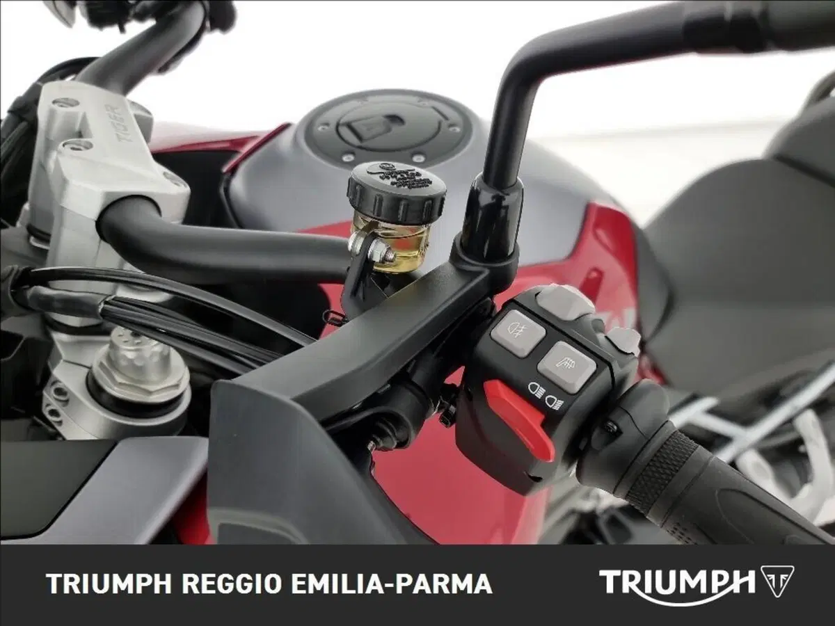 Triumph Tiger 1200 GT Pro (2024 - 26) (12)