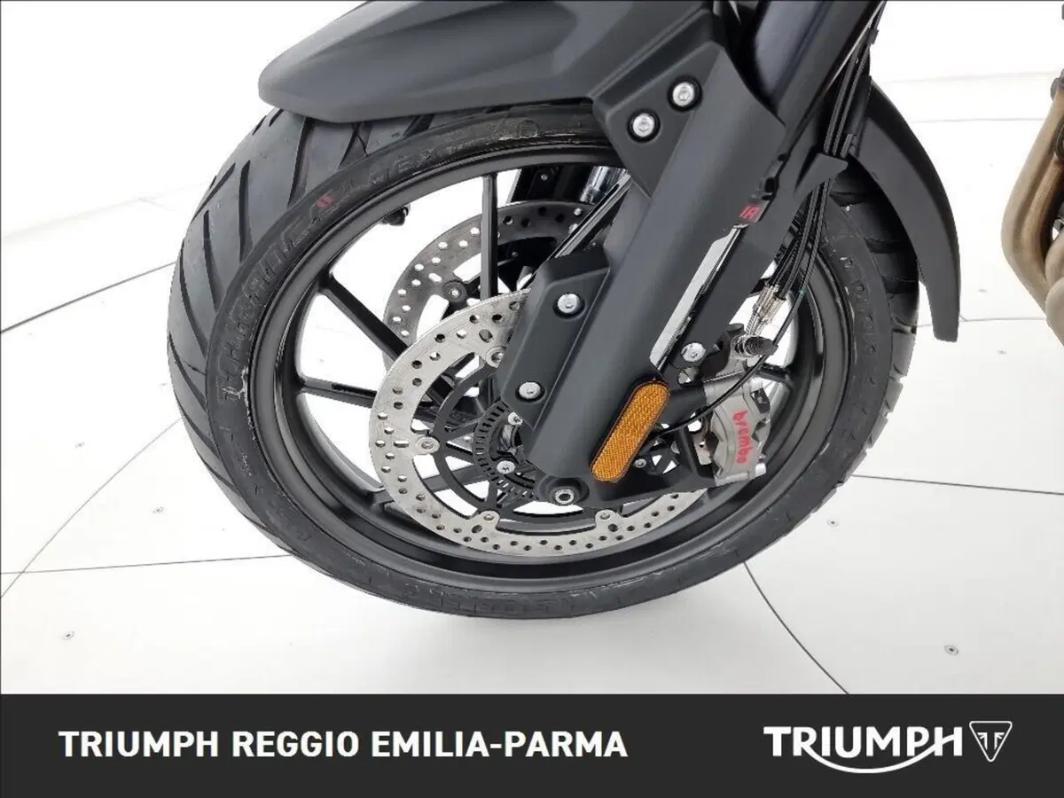 Triumph Tiger 1200 GT Pro (2024 - 26) (21)