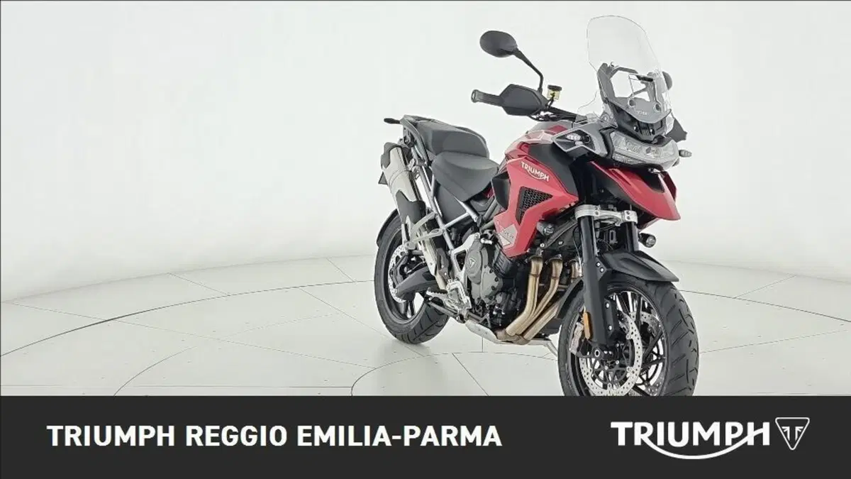 Triumph Tiger 1200 GT Pro (2024 - 26) (4)
