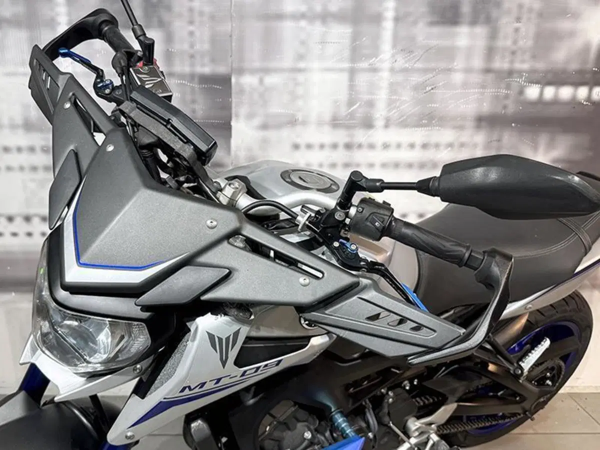 Yamaha MT-09 Street Rally (2014 - 16) (3)