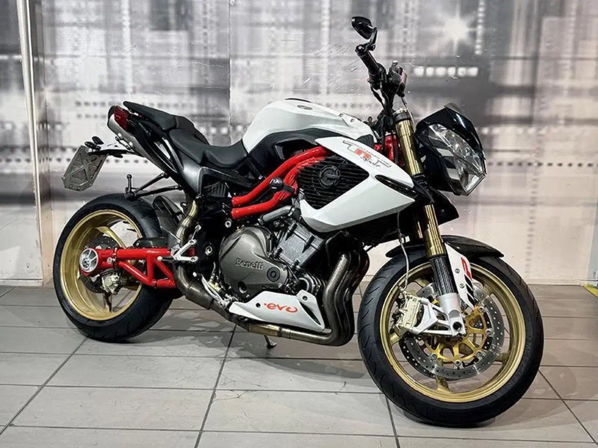 Benelli TNT 1130 (2004 - 08)