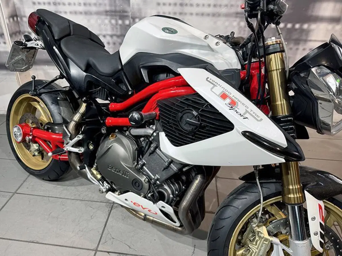 Benelli TNT 1130 (2004 - 08) (4)