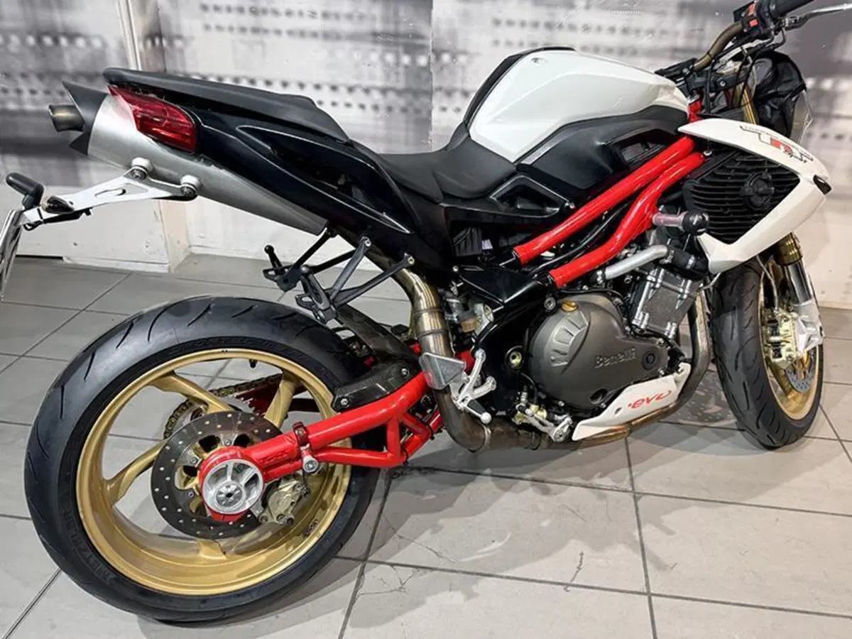 Benelli TNT 1130 (2004 - 08) (5)
