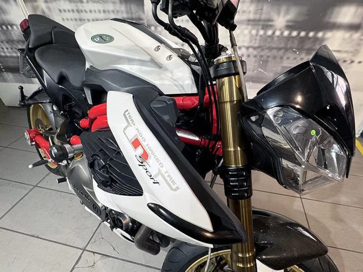 Benelli TNT 1130 (2004 - 08) (6)