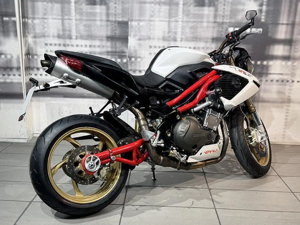 Benelli TNT 1130 (2004 - 08) (8)