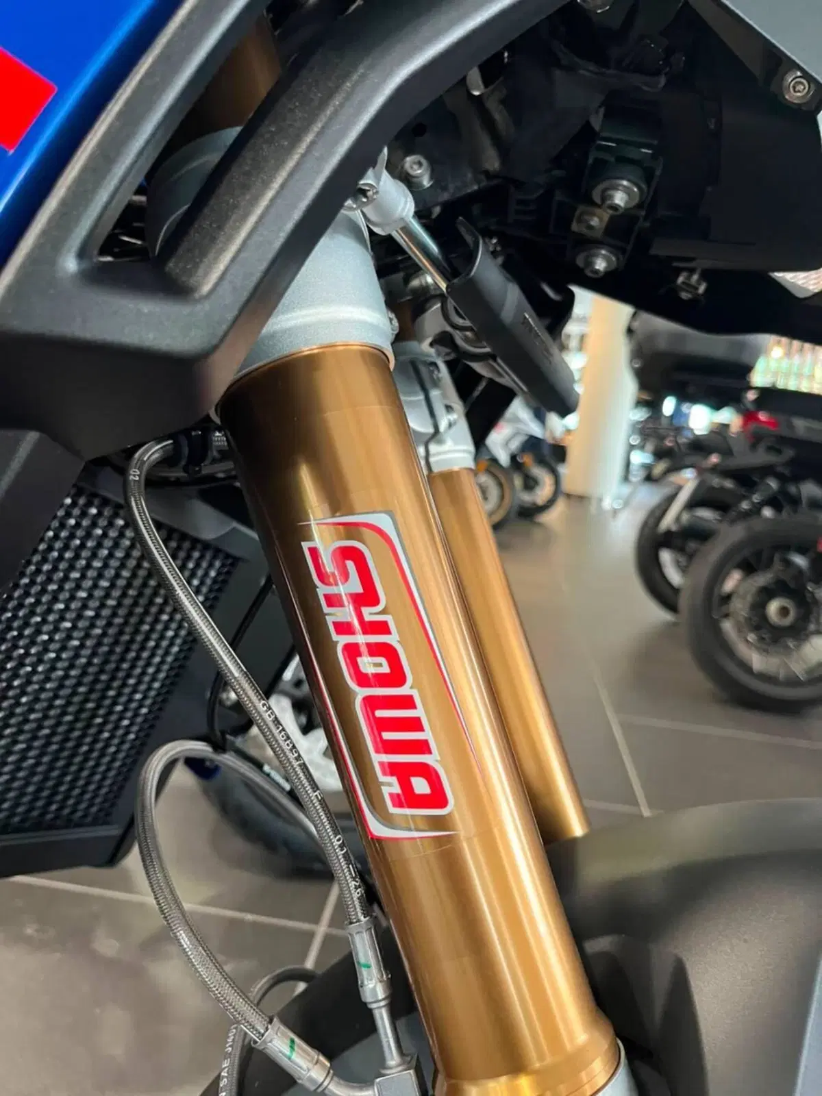 Bmw F 900 GS (2024 - 26) (4)