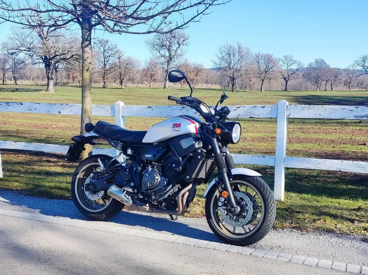 Yamaha XSR 700 XTribute (2019 - 20)