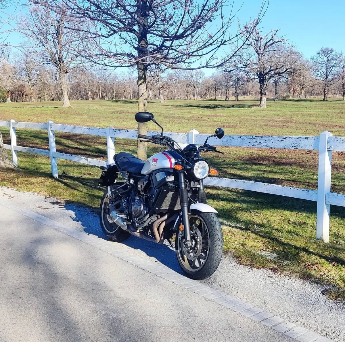 Yamaha XSR 700 XTribute (2019 - 20) (4)