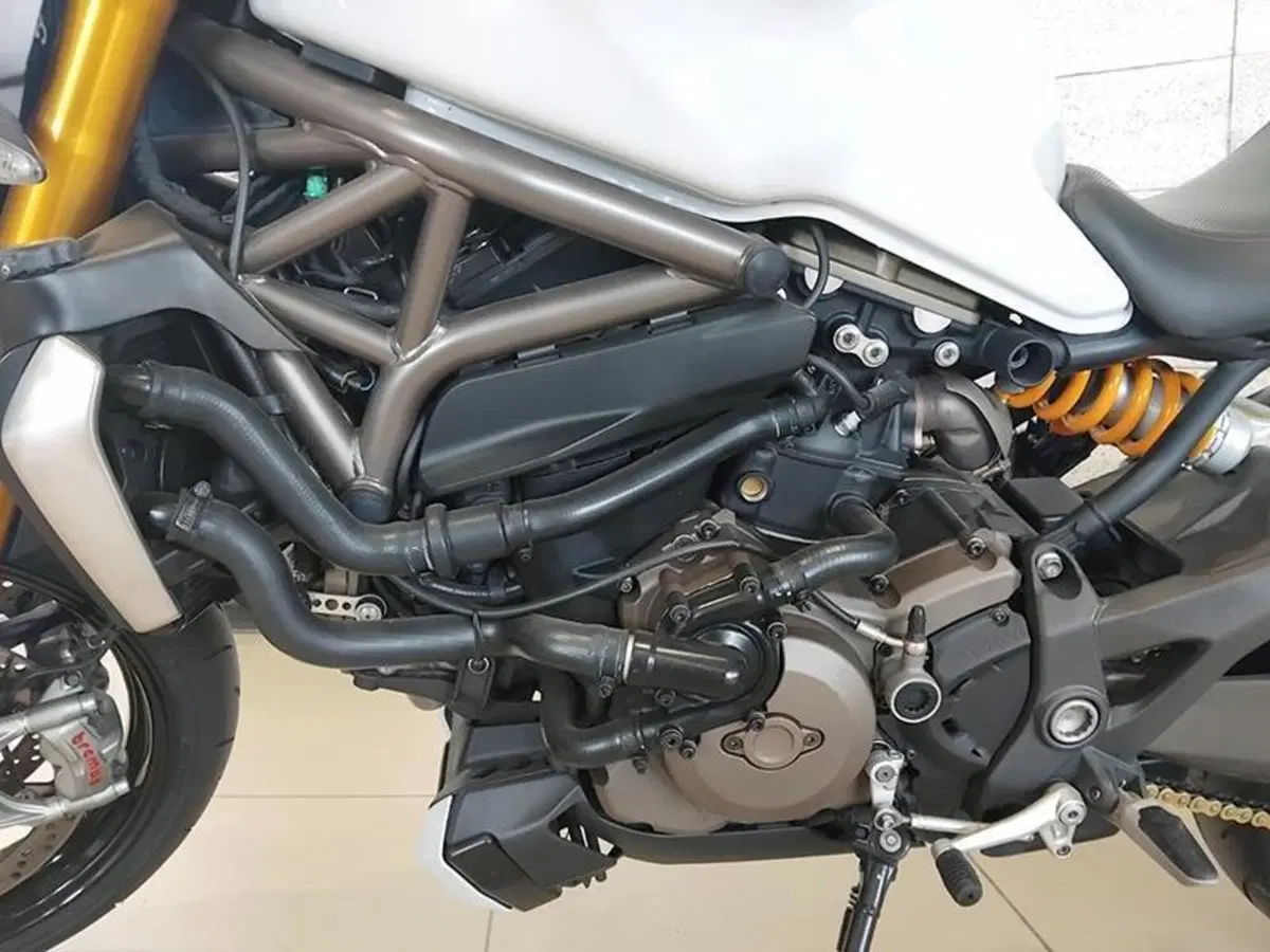 Ducati Monster 1200 S (2014 - 16) (4)