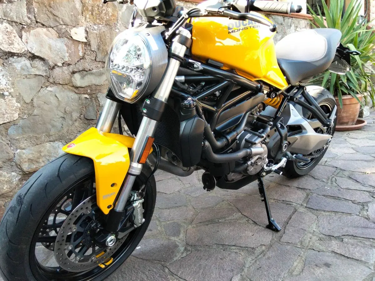 Ducati Monster 821 (2018 - 20) (2)