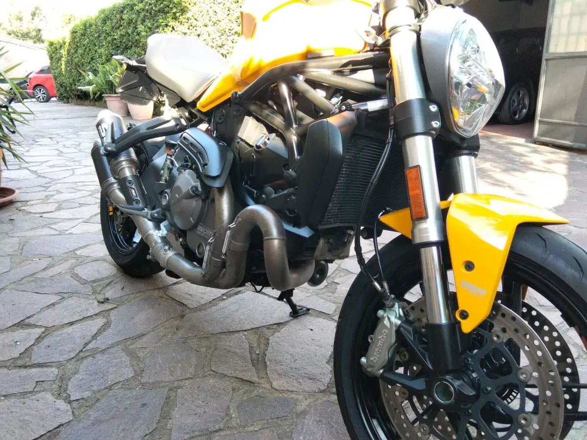 Ducati Monster 821 (2018 - 20) (4)