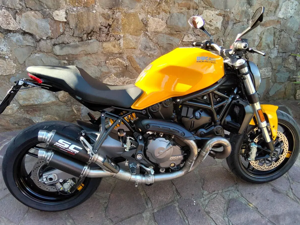 Ducati Monster 821 (2018 - 20) (5)