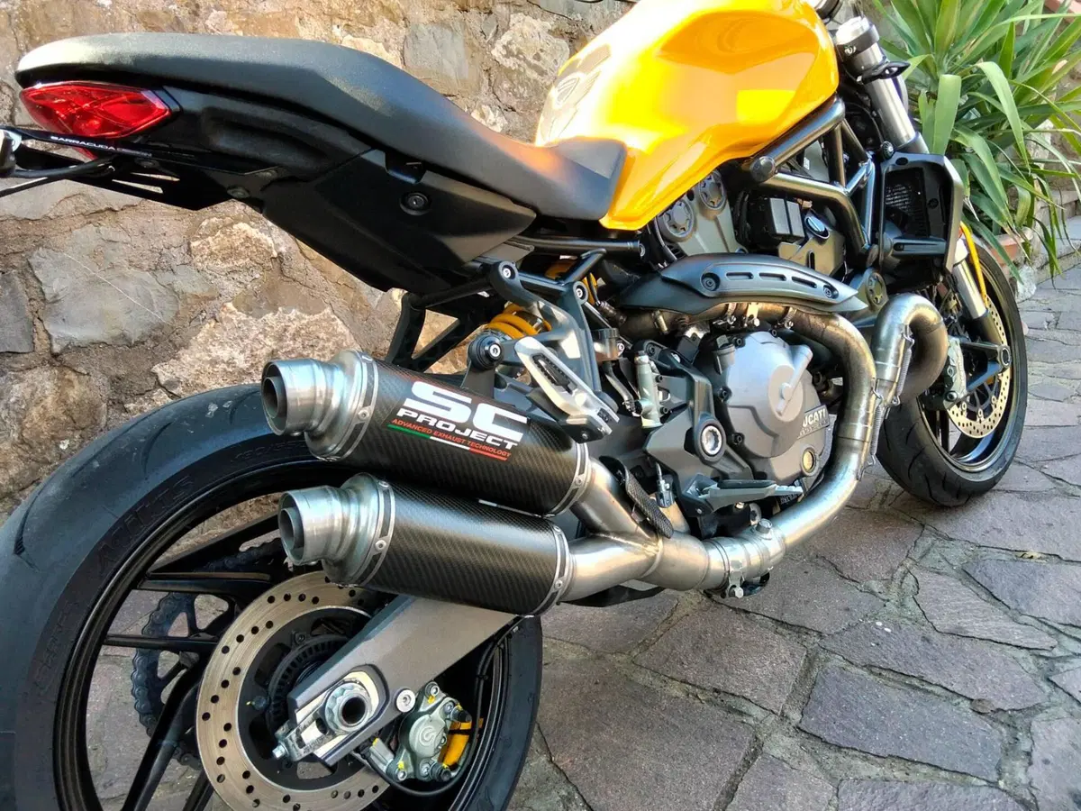 Ducati Monster 821 (2018 - 20) (6)
