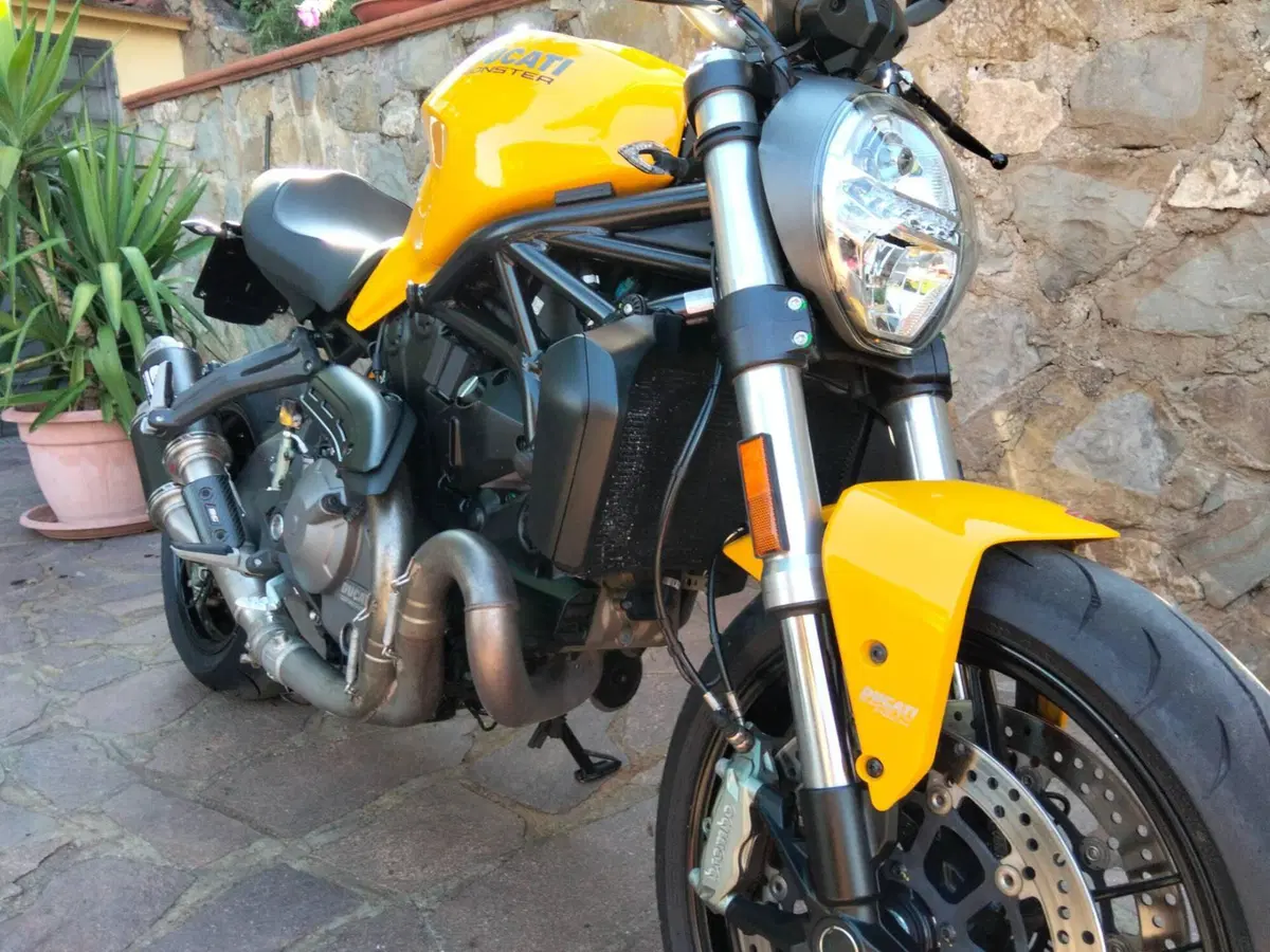Ducati Monster 821 (2018 - 20) (7)
