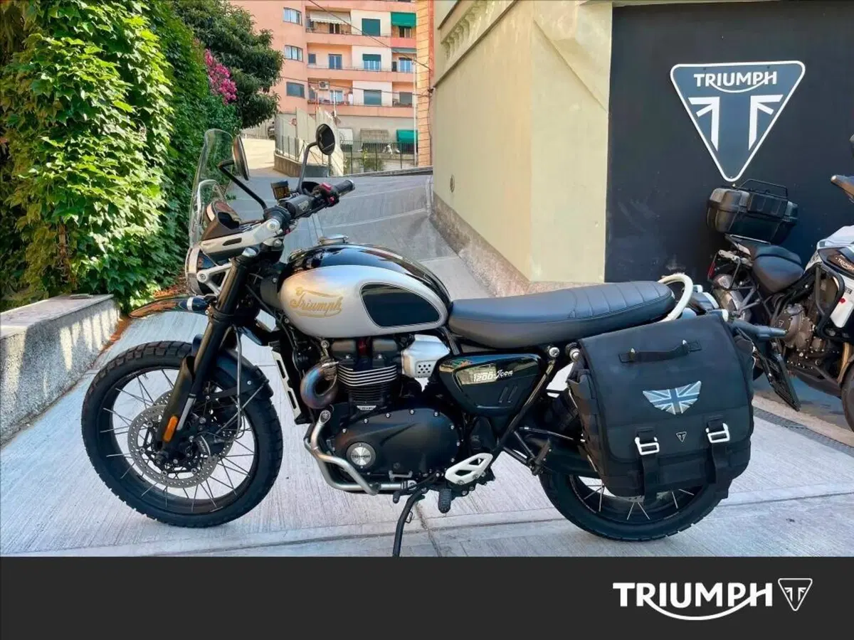 Triumph Scrambler 1200 X Icon Edition (2025 - 26) (3)