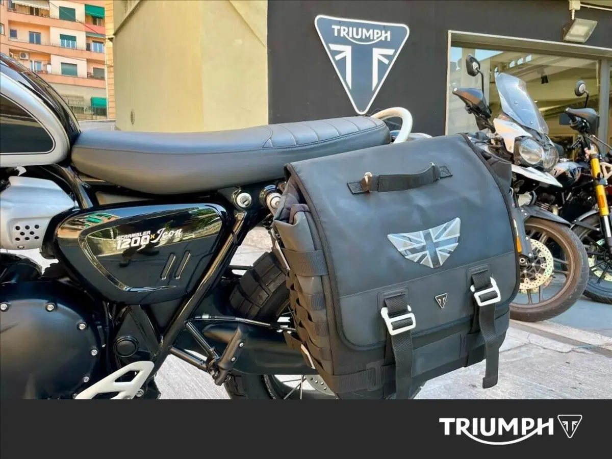 Triumph Scrambler 1200 X Icon Edition (2025 - 26) (10)