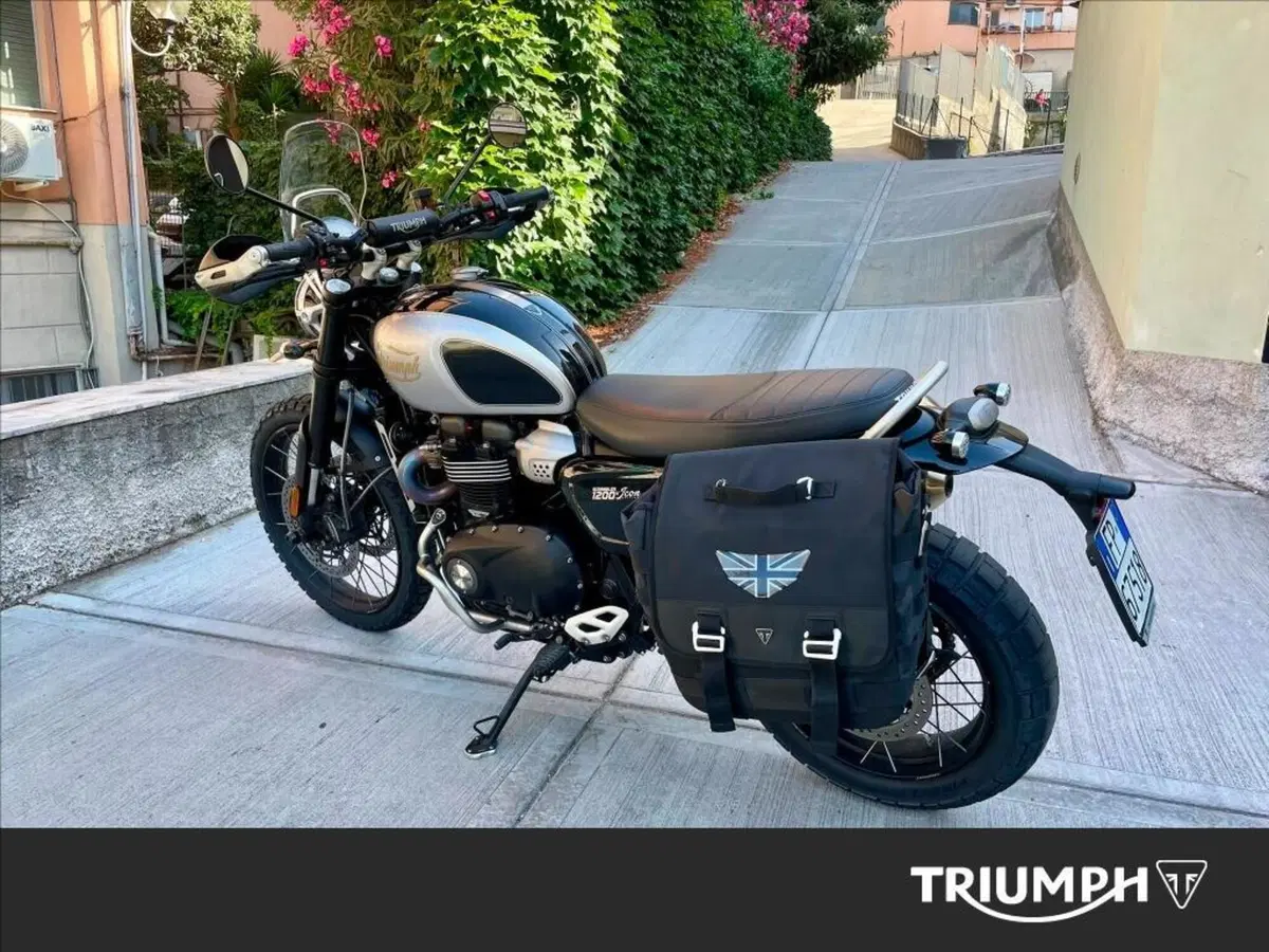 Triumph Scrambler 1200 X Icon Edition (2025 - 26) (2)
