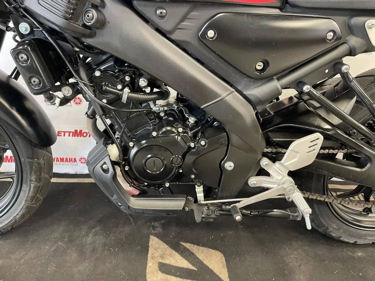 Yamaha XSR 125 (2021 - 24) (2)