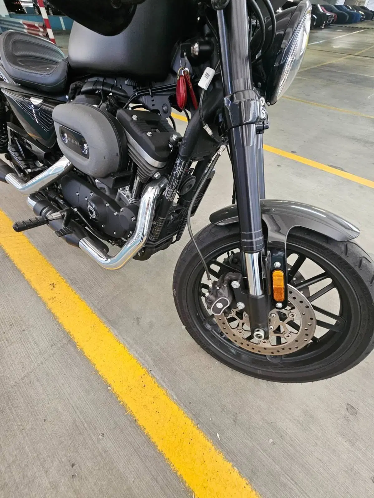 Harley-Davidson 1200 Roadster (2017 - 20) - XL 1200R (2)
