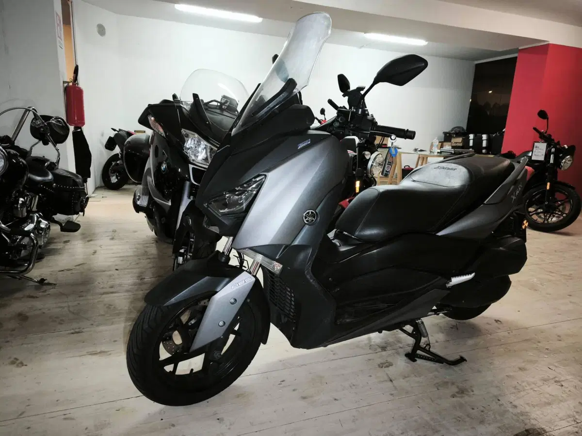 Yamaha X-Max 300 ABS (2017 - 20) (3)