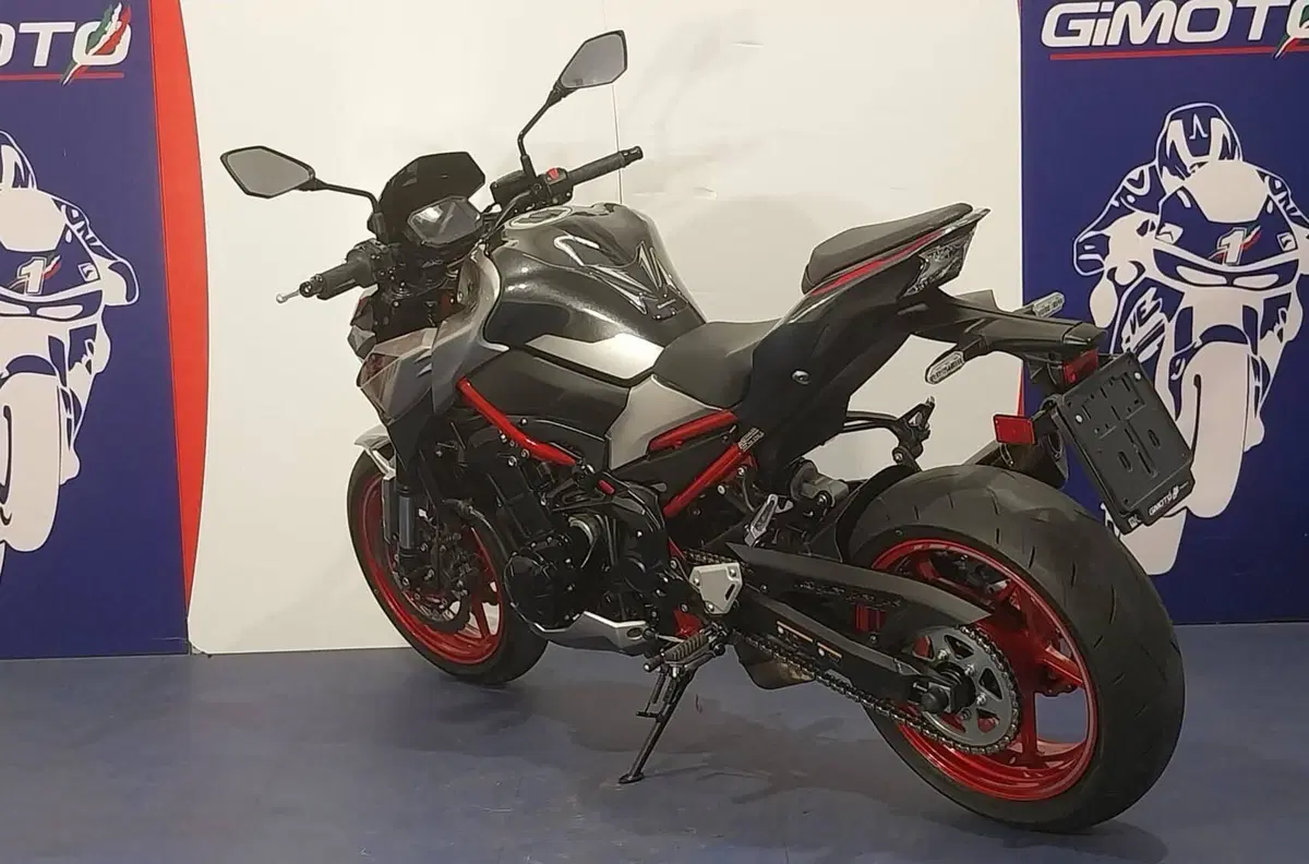 Kawasaki Z 900 A2 Performance (2021 - 24) (5)