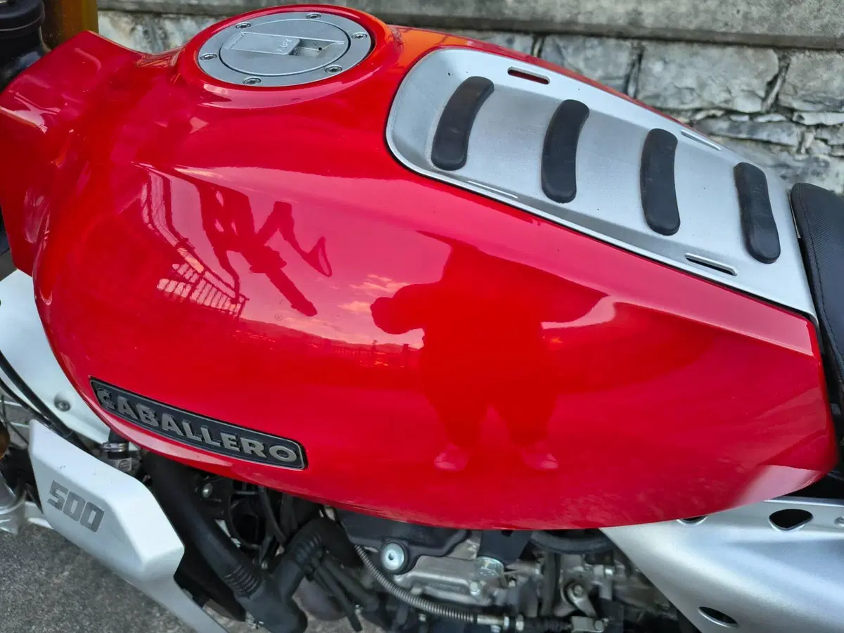 Fantic Motor Caballero 500 Scrambler 4T (2018 - 21) (7)