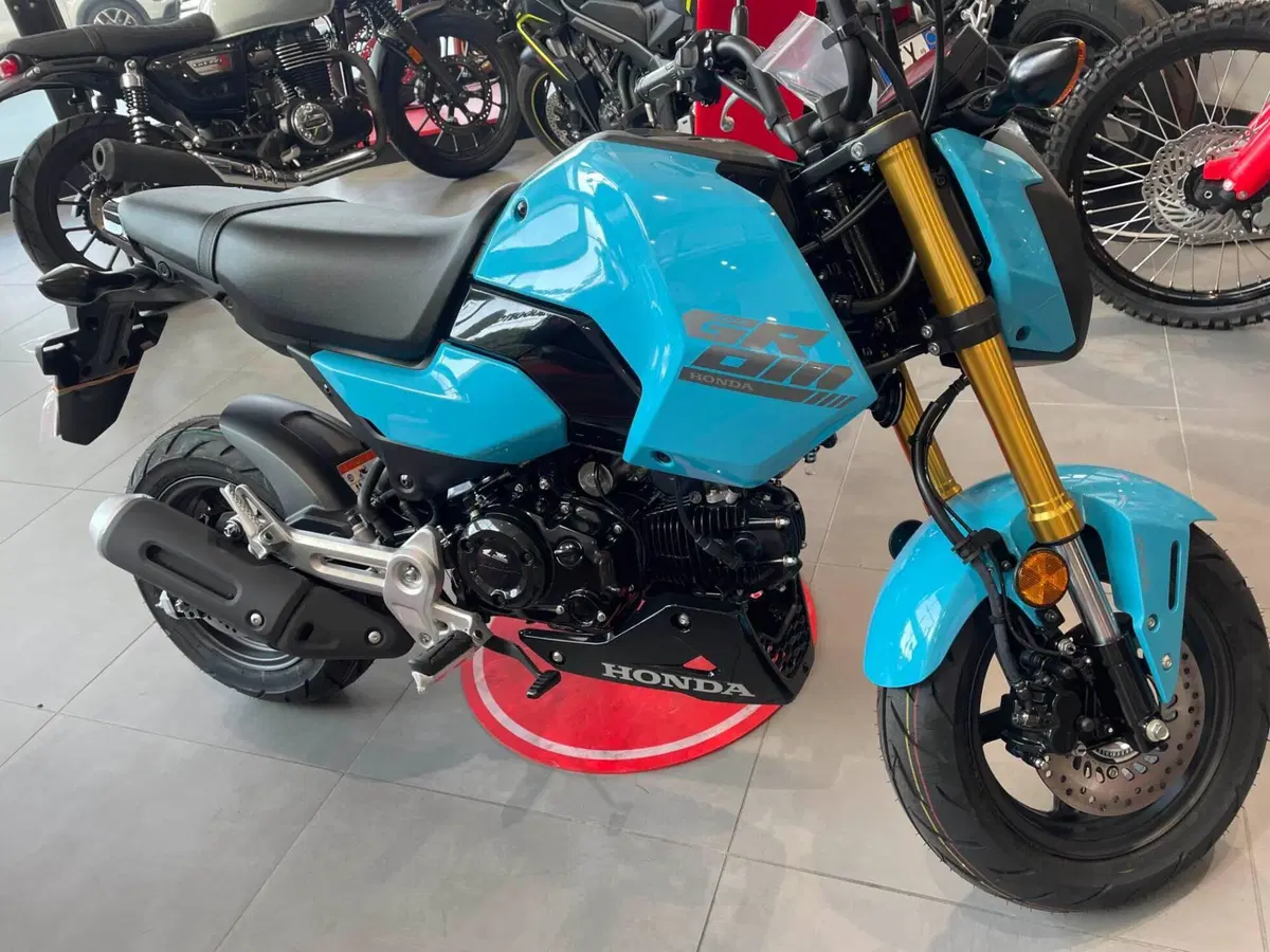Honda MSX 125 Grom (2021 - 26) (3)
