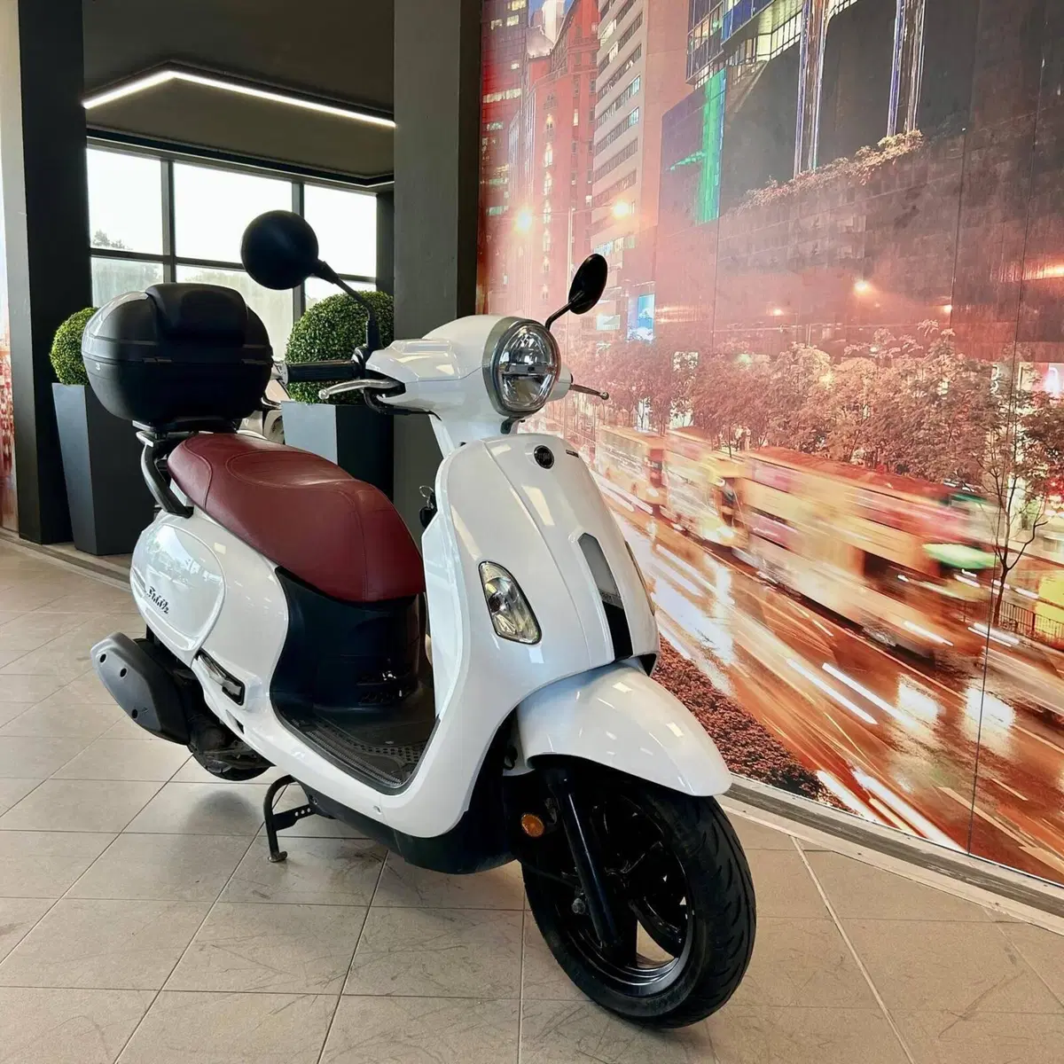 Sym Fiddle 50i (2021 - 26) (2)