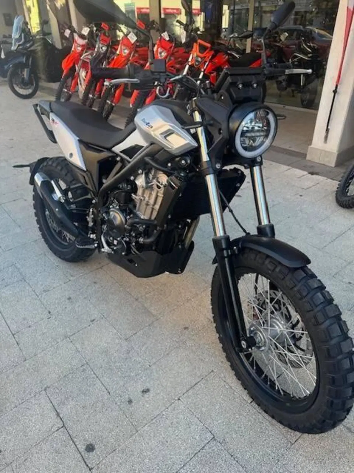 Betamotor Alp X (2024 - 26) (2)