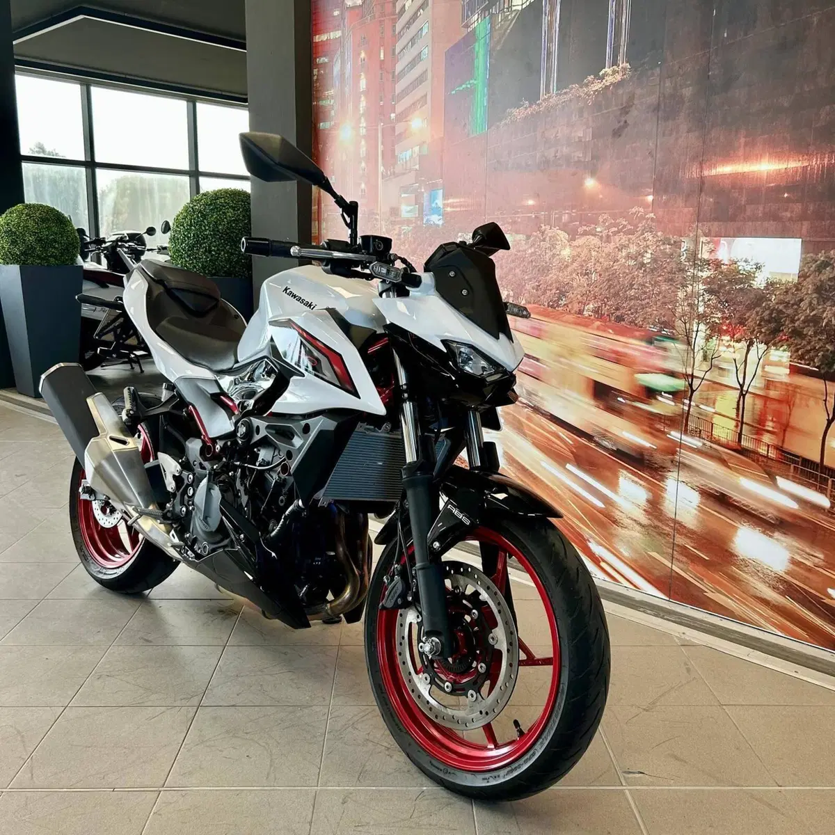 Kawasaki Z 500 (2024 - 26) (3)