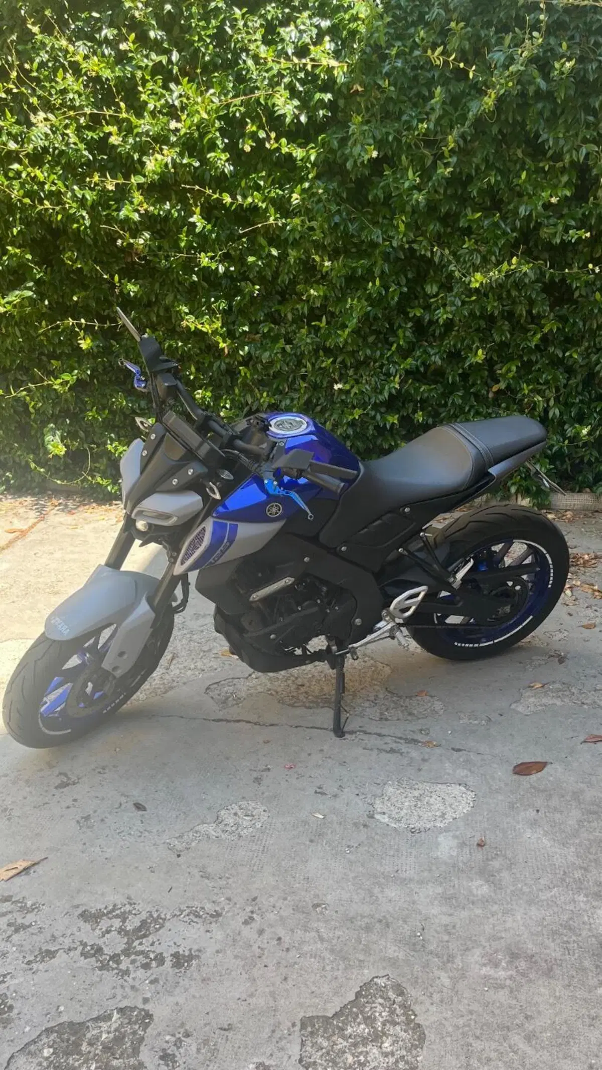 Yamaha MT-125 (2021 - 24)